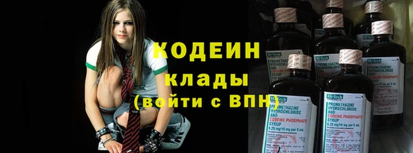 a pvp Ельня