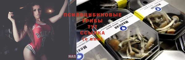 молекула духа Дмитриев
