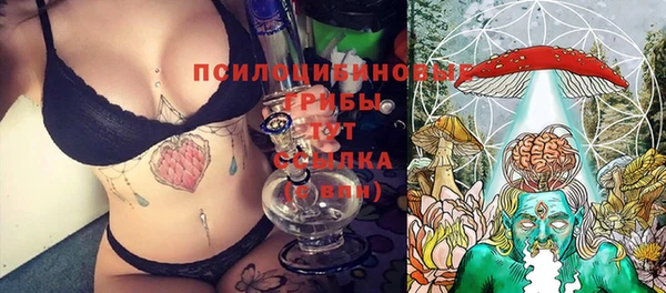 молекула духа Дмитриев