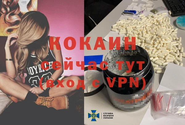 a pvp Ельня