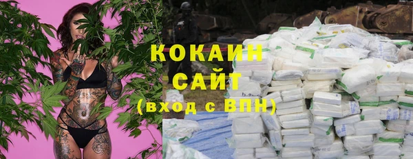 молекула духа Дмитриев