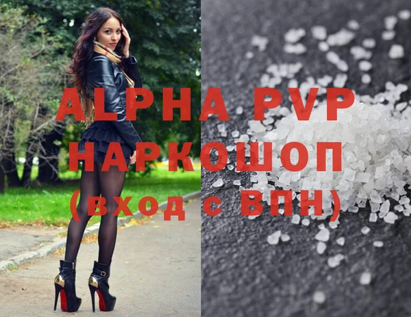 молекула духа Дмитриев