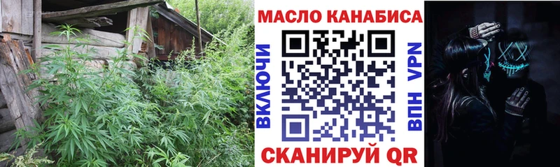 МЕГА ТОР  закладки  Кадников  Дистиллят ТГК жижа 